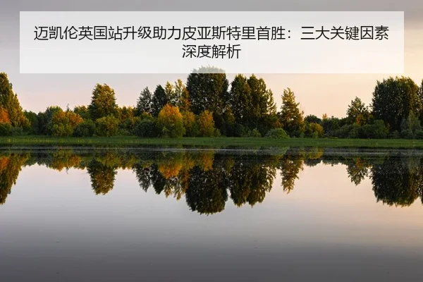 mai-kai-lun-ying-guo-zhan-sheng-ji-zhu-li-pi-ya-si-te-li-shou-sheng-san-da-guan-jian-yin-su-shen-du-jie-xi-3-628.jpg