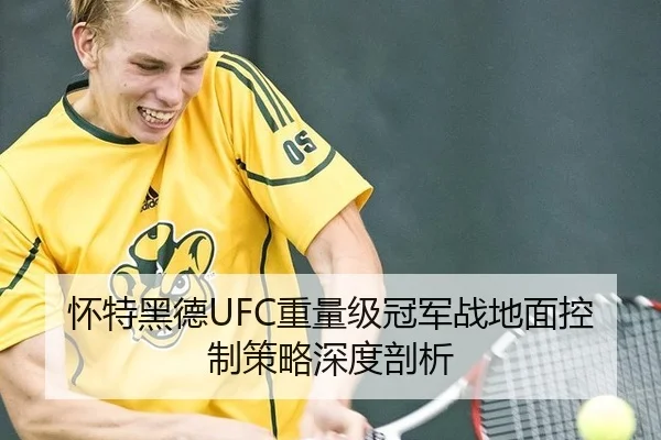 怀特黑德UFC重量级冠军战地面控制策略深度剖析
