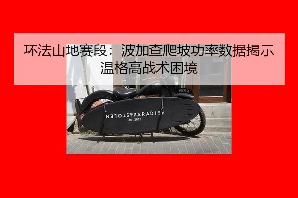 环法山地赛段：波加查爬坡功率数据揭示温格高战术困境