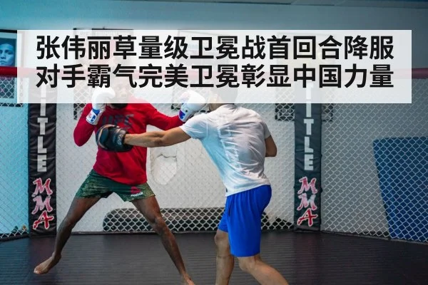 UFC cage fight